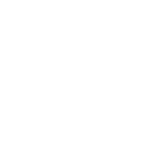 Director Magazine