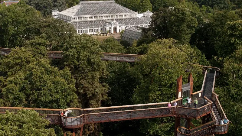The romantic Kew Garden treetop walk